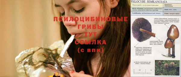 эйфоретик Белоозёрский